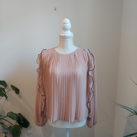 Zara Ruffled Pink Blouse - Picture 6 of 10